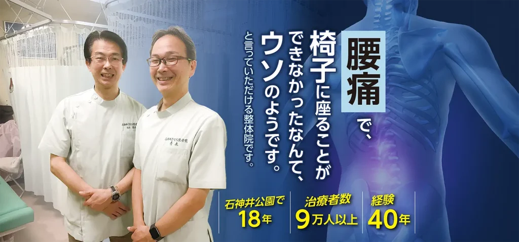 腰痛で椅子にも座ることができなかったなんて、ウソのようです。 と言っていただける整体院です。 石神井公園で18年 治療者数9万人以上 経験40年