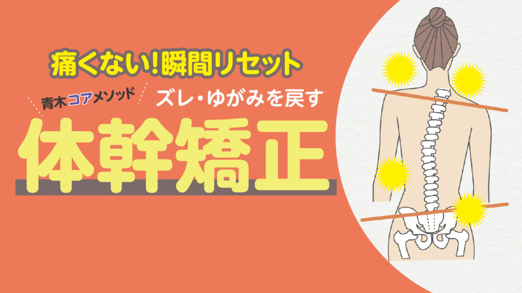 腰痛で椅子にも座ることができなかったなんて、ウソのようです。 と言っていただける整体院です。 石神井公園で18年 治療者数9万人以上 経験40年