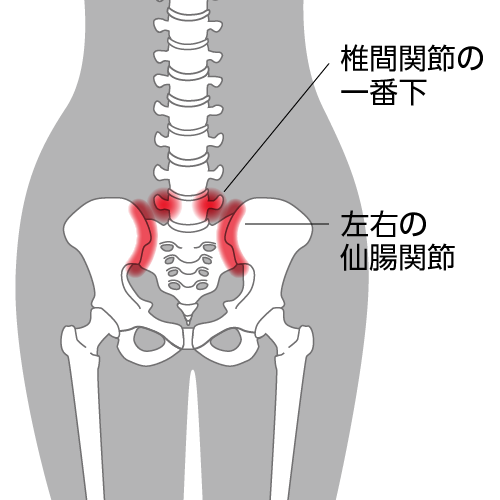 腰椎椎間関節の一番下と左右の仙腸関節の図